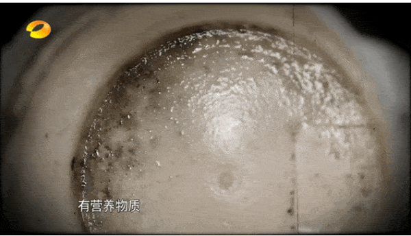 Bát cách nhiệt. Nhiều bố mẹ chọn mua bát cách nhiệt để giữ ấm đồ ăn. Quá trình sử dụng, đồ ăn có thể rơi vào lớp cách nhiệt gây ôi thiu. Bên cạnh đó, bát cách nhiệt khi rửa rất khó làm khô hoàn toàn. Theo thời gian, nó là nơi sản sinh lượng lớn nấm mốc, vi khuẩn gây hại.