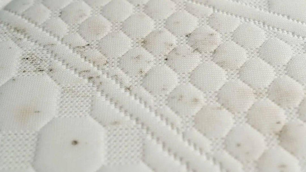 Thảm tập bò. Thảm tập bò êm ái giúp trẻ tránh chấn thương khi di chuyển. Vậy nhưng nhiều thảm tập bò được làm bằng xốp, có độ thoáng khí kém. Sau thời gian sử dụng, mặt sau và phần viền rất dễ bị ẩm mốc, hình thành những đốm đen.