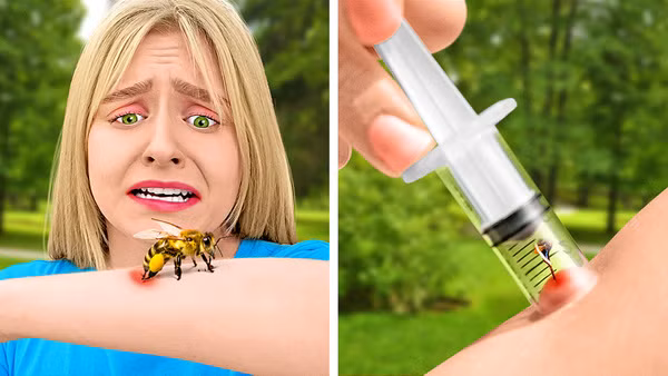 Dùng ống tiêm lấy ngòi ong khỏi da. Nếu bị ong đốt, bạn không nên hoảng sợ. Lúc này, bạn hãy tận dụng một chiếc xi lanh, cắt bỏ phần kim tiêm giống như hình. Sau đó, dùng xi lanh hút vào phần da bị đốt, ngòi ong để lại sẽ dễ dàng bị loại bỏ.