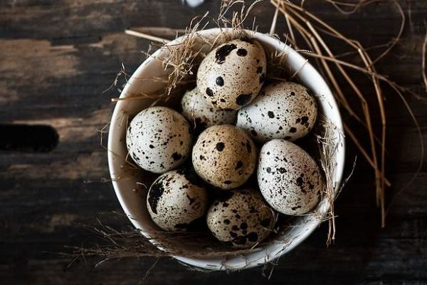 Về hàm lượng chất béo, các nhà khoa học đánh giá lượng chất béo trong trứng vịt là nhiều nhất. Về hàm lượng vitamin, nghiên cứu chỉ ra trứng cút có hàm lượng vitamin B12 cao nhất. Còn các loại vitamin khác giữa các loại trứng không có chênh lệch nhiều.