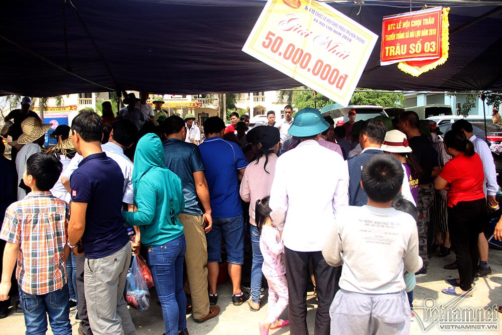 Bảng ghi thành tích của trâu được trưng bày để khách tiện theo dõi. Gian hàng trâu vô địch thu hút nhiều người nhất