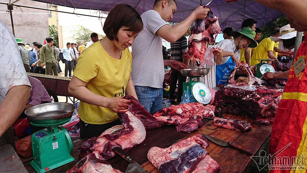 Các trâu khác bị bại trận có giá từ 300-500.000/kg