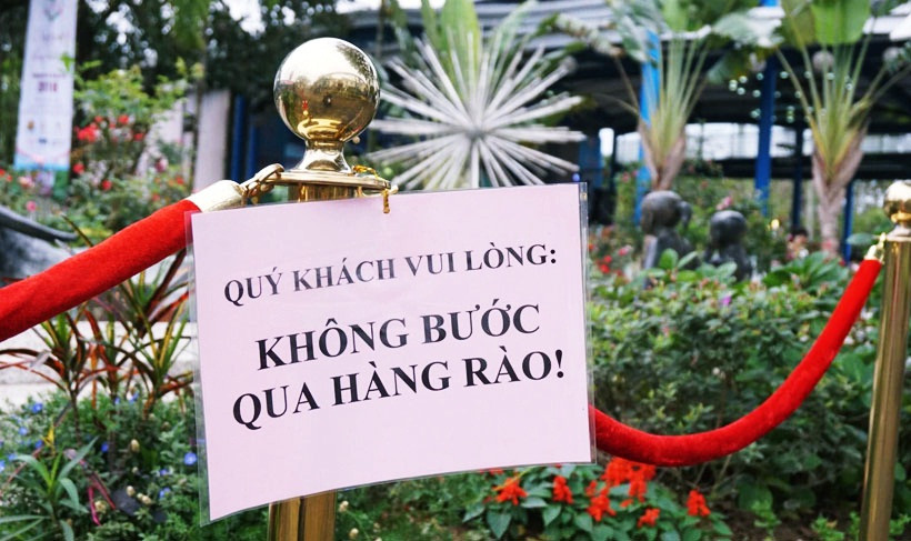 Lễ hội năm nay, Ban tổ chức căng hàng rào bằng dải lụa đỏ, để tránh việc người dân đến tham quan, ngắm hoa tiếp xúc quá gần và đặc biệt tránh tình trạng bẻ hoa.
