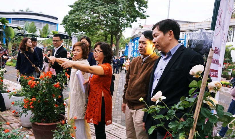 Không khí vô cùng náo nhiệt. Đại diện Ban tổ chức cho hay, những cây hồng được đánh chuyển về Việt Nam từ tháng 12 năm trước trong tình trạng đông lạnh, không có đất.