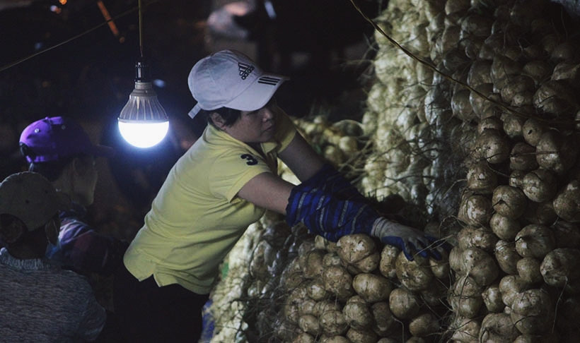 Trời càng về đêm, nhiệt độ giảm và có mưa, nhưng dường như công việc nhọc nhằn đã khiến những người phụ nữ này quên mất đi cảm giác lạnh.