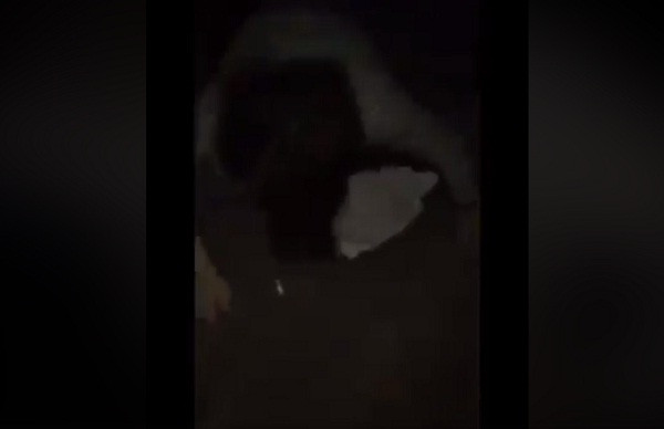 Hiện trường xảy ra sự việc.