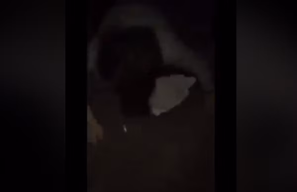 Hiện trường xảy ra sự việc.