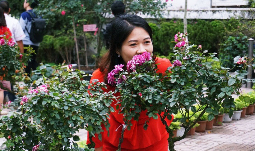 Một số người "phát cuồng" còn đứng sát hoa để ngửi mùi thơm.