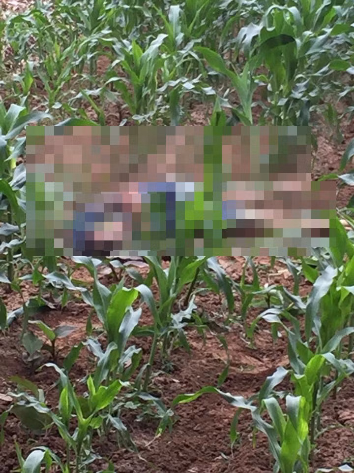 Hiện trường vụ việc.