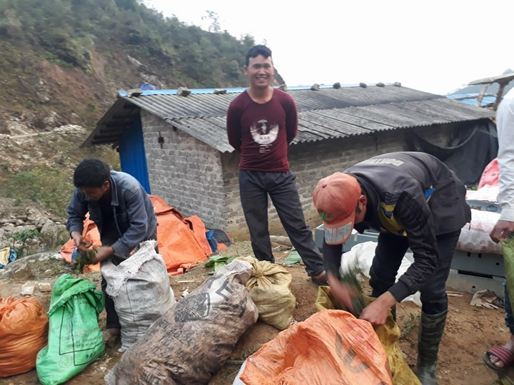 Rau dớn được bà con vùng cao hái tư rừng về đóng thành từng bao tải, bán cho thương lái Trung Quốc kiếm thêm thu nhập