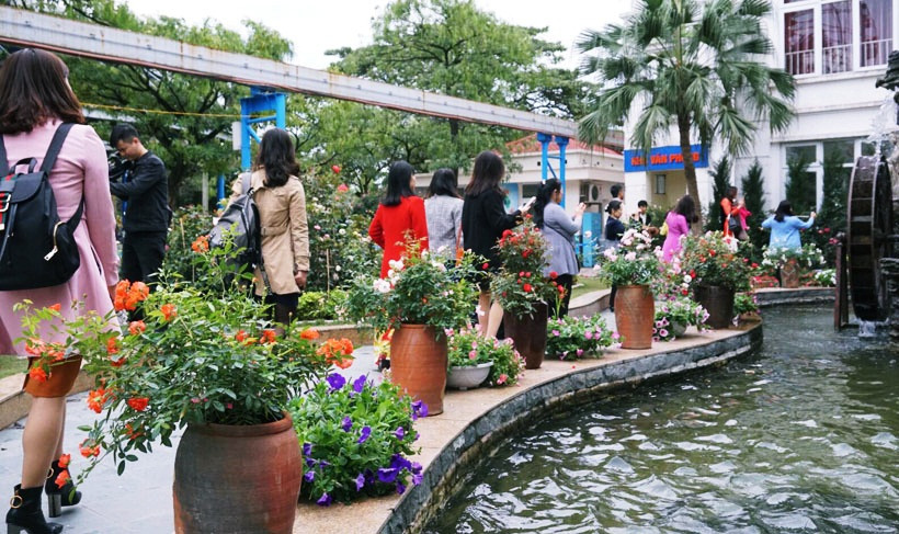 Ngay từ sáng sớm, nhiều người dân Hà Nội đã đổ dồn về công viên nước Hồ Tây để tham quan, chụp ảnh với những bông hoa hồng nổi tiếng.