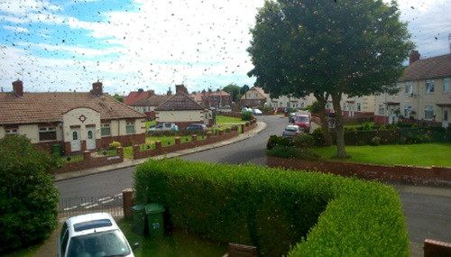 Sau sự việc, anh không hề để tâm, vẫn giống như thường ngày, tiếp tục công việc, cuộc sống của mình.