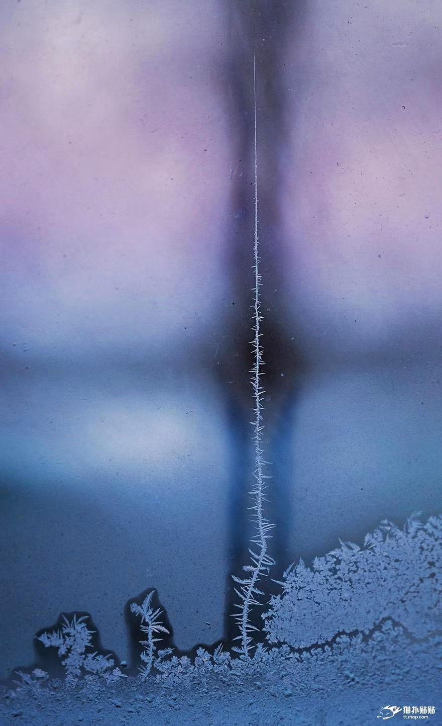 Một tác phẩm nghệ thuật của tự nhiên trên cửa kính, chỉ xuất hiện khi thời tiết giá buốt.