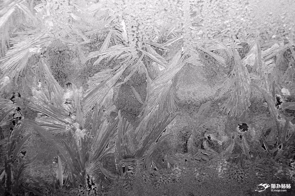 Nắm bắt được vẻ đẹp này, nhiếp ảnh gia ghi lại được những hình ảnh vô cùng ấn tượng.