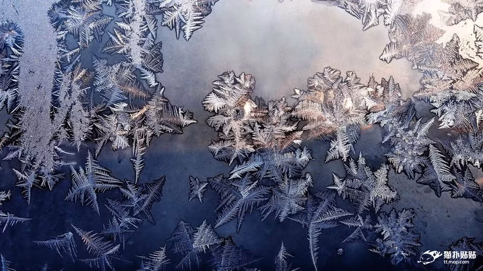 Hơi nước trong không khí trong nhà tiếp xúc với những tấm cửa kính lạnh giá sẽ xảy ra hiện tượng kỳ lạ, băng sẽ hình thành trên mặt kính, tạo nên rất nhiều hình ảnh băng tuyết sinh động, đa dạng và đẹp độc đáo.