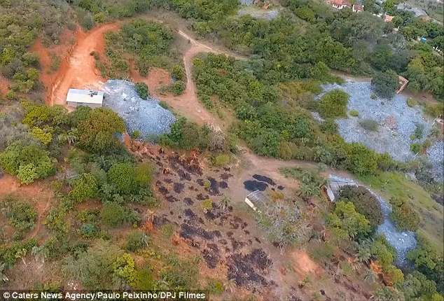 Hiện tại chủ nhân của khối đá quý cực lớn đang nhanh chóng hoàn tất các loại giấy tờ để hoàn thiện quyền sở hữu. Theo ông chia sẻ, khối đá này có chất lượng tuyệt hảo, trong suốt 30 năm làm nghề khai thác mỏ ông mới được thấy. Các chuyên gia dự đoán, bên trong khối đá có thể chứa 180.00 carat tinh thể ngọc lục bảo với trị giá 238 triệu bảng Anh (gần 7.700 tỷ đồng).