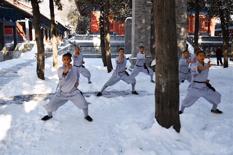 Võ thuật của chùa Thiếu Lâm được biết đến nhiều nhất đối với người Á Đông. Chùa Thiếu Lâm với võ phái Thiếu Lâm được xem là nguồn gốc các phái võ Trung Quốc hiện nay. Từng có câu thành ngữ nói về điều đó: "Thiên hạ công phu xuất Thiếu Lâm" (mọi công phu võ thuật trong thiên hạ đều khởi phát từ Thiếu Lâm).