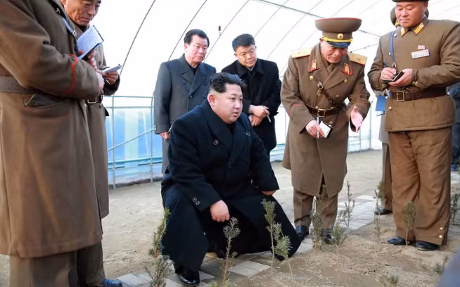 Nhà lãnh đạo Kim thăm vườn ươm cây của Quân đội Triều Tiên tại một địa điểm không xác định. Ảnh: Telegraph.