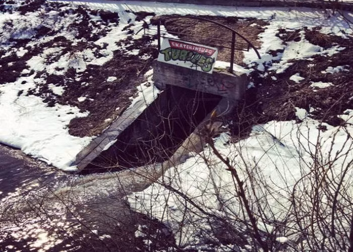 Nga ngua loat anh hai huoc chi co o nuoc Nga (15)-Hinh-8