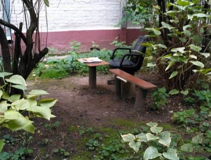 Thêm một cảnh tượng kỳ quặc ở Nga được ghi lại. Ảnh: ER.