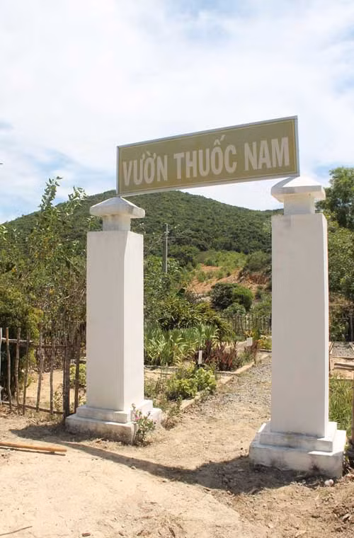 Vườn thuốc nam tại doanh trại đại đội.