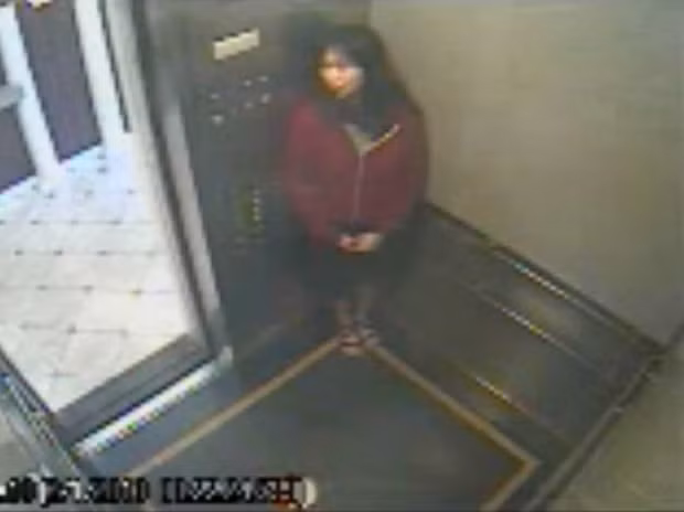 7. Lisa Lam, một sinh viên Mỹ, biến mất và sau đó được tìm thấy trong bể nước tại khách sạn Cecil, Los Angeles. Trước cái chết bí ẩn này, cô ghi lại một loạt hành động kỳ quái trong một thang máy qua bức ảnh.