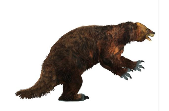 3. Megatherium Americanum: Loài lười khổng lồ này sống trong thời kỳ Pliocene và Pleistocene, đạt chiều dài 6 mét và cân nặng 4 tấn. Chúng ăn cỏ và có khả năng ăn thịt. Loài này sử dụng vuốt để đào hố và đường hầm trong lòng đất.