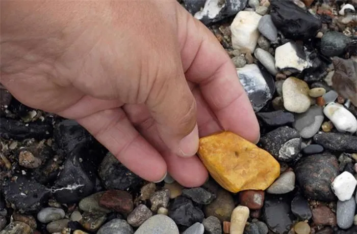 Sau đó, long diên hương được thải ra ngoài bằng cách nôn hoặc bài tiết sau khi cá nhà táng chết và xác bị phân hủy.