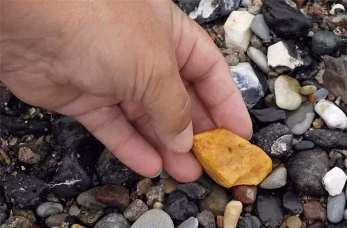 Sau đó, long diên hương được thải ra ngoài bằng cách nôn hoặc bài tiết sau khi cá nhà táng chết và xác bị phân hủy.