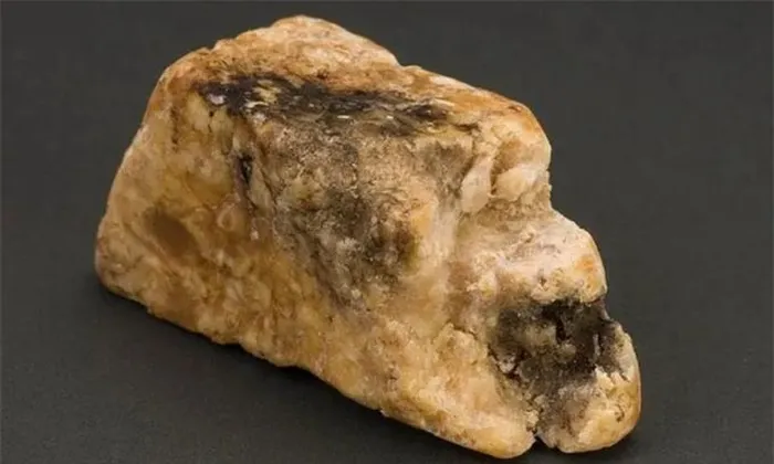 Long diên hương chứa chất cồn không mùi, giúp mùi lưu lại lâu hơn. Nó thường được ví là vàng xám của đại dương vì giá của long diên hương rất đắt đỏ và thường dùng để sản xuất các loại nước hoa cao cấp.