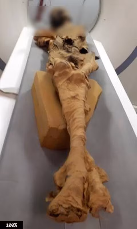 Xác ướp này sau khi được xác định là của Hoàng tử Pentawere, con trai của Pharaoh Ramesses III, người đã chết bằng cách treo cổ.