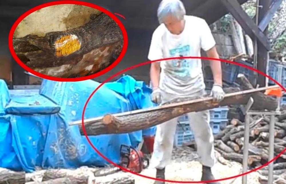 Năm 2016, tại Tứ Xuyên, Trung Quốc, một giám đốc nhà máy và nhóm nhân viên của ông phát hiện một khúc gỗ carbon hóa giống hình dáng con người.