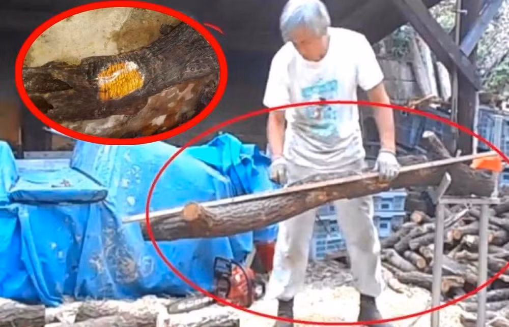 Năm 2016, tại Tứ Xuyên, Trung Quốc, một giám đốc nhà máy và nhóm nhân viên của ông phát hiện một khúc gỗ carbon hóa giống hình dáng con người.