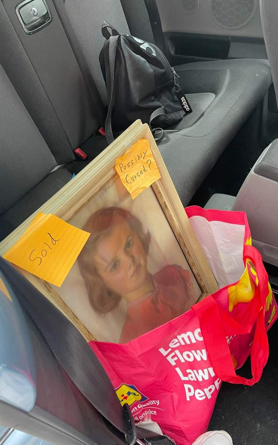 Bức tranh mô tả một bé gái mặc chiếc váy màu đỏ với một biểu cảm đáng sợ. Bức tranh đã thu hút sự chú ý của nhiều người khi xuất hiện trong cửa hàng.