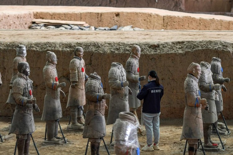 Đội quân được tạo ra vào thế kỷ III trước Công nguyên theo lệnh của Tần Thủy Hoàng, người đã thống nhất Trung Quốc. Công tạo dựng này mất 38 năm.