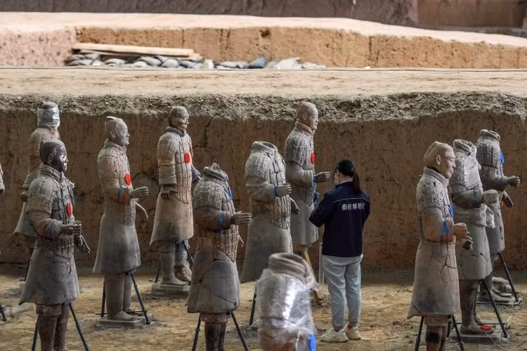 Đội quân được tạo ra vào thế kỷ III trước Công nguyên theo lệnh của Tần Thủy Hoàng, người đã thống nhất Trung Quốc. Công tạo dựng này mất 38 năm.