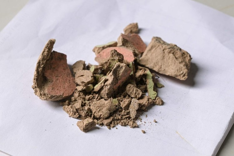 Những vi sinh vật làm tổn hại tới các bức tượng.