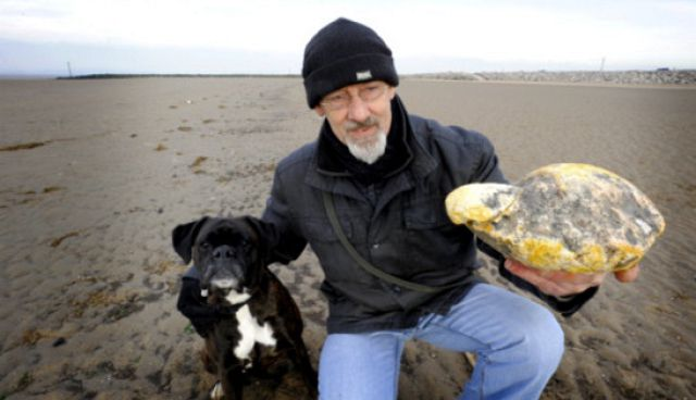 Đây là một phát hiện có giá trị và có thể được kiểm tra tại Đại học Glasgow.