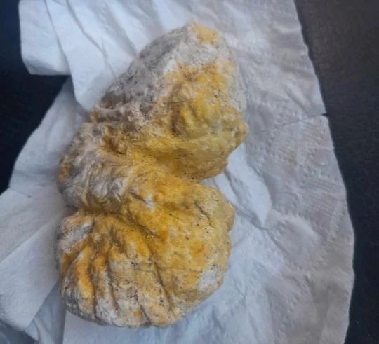 Long diên hương là một chất nôn của cá voi và rất hiếm gặp, được coi là " báu vật' của biển cả