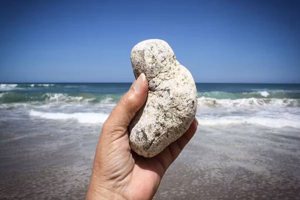 Long diên hương nhanh chóng tan chảy khi được làm nóng bằng một cây kim.