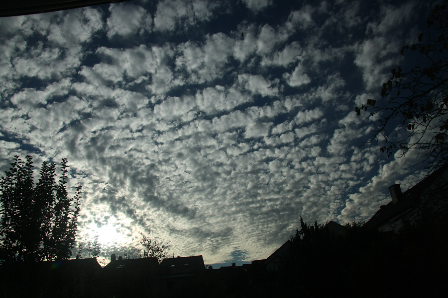 Trung tâm Dự báo khí tượng thủy văn quốc gia cũng đã xác nhận rằng không có dấu hiệu đón bão hoặc thời tiết khắc nghiệt trong một tuần tới ở Hà Nội. Đây là một hiện tượng thường gặp và không gây nguy hiểm.