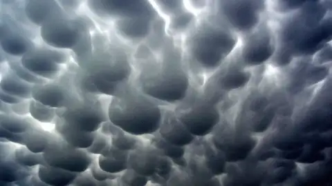 Mây Mammatus thường được xem là dấu hiệu của cơn bão lớn hoặc thời tiết xấu. Chúng thường kèm theo sấm sét và thường xuất hiện trong những tháng có thời tiết nóng và ấm. Mây vảy rồng xuất hiện trước hoặc sau khi thời tiết khắc nghiệt diễn ra.