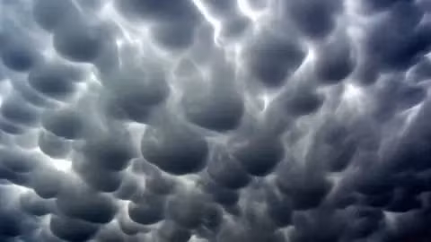 Mây Mammatus thường được xem là dấu hiệu của cơn bão lớn hoặc thời tiết xấu. Chúng thường kèm theo sấm sét và thường xuất hiện trong những tháng có thời tiết nóng và ấm. Mây vảy rồng xuất hiện trước hoặc sau khi thời tiết khắc nghiệt diễn ra.