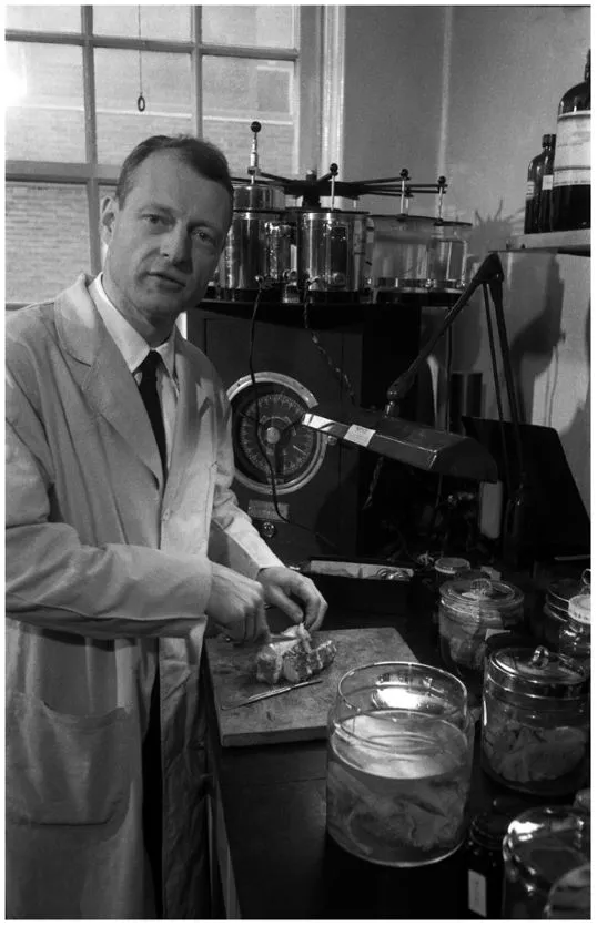 Thomas Harvey, "bác sĩ điên rồ nhất lịch sử" đã đánh cắp bộ não của Albert Einstein sau khi ông qua đời vào năm 1955.