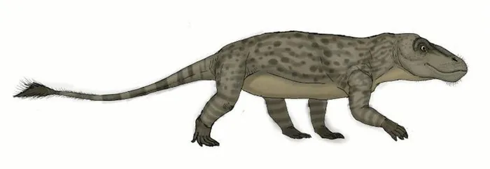  Quái thú này có thể đạt chiều dài cơ thể lên tới 3m và có trọng lượng khoảng 400kg.