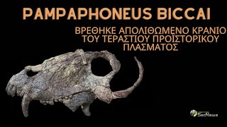 Điều này có nghĩa rằng nó tồn tại trước thời kỳ của các khủng long và lâu hơn hàng chục triệu năm so với chúng.