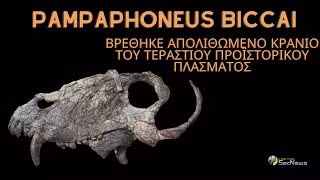 Điều này có nghĩa rằng nó tồn tại trước thời kỳ của các khủng long và lâu hơn hàng chục triệu năm so với chúng.