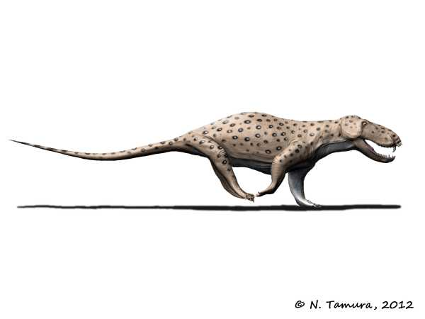 Pampaphoneus biccai đã biến mất trong đại tuyệt chủng lớn nhất mọi thời đại vào cuối kỷ Nhị Điệp (đại tuyệt chủng Permi-Trias), trong đó 96% sinh vật biển và 70% động vật có xương sống trên đất liền đã bị tiêu diệt.