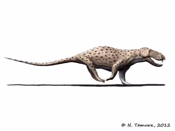 Pampaphoneus biccai đã biến mất trong đại tuyệt chủng lớn nhất mọi thời đại vào cuối kỷ Nhị Điệp (đại tuyệt chủng Permi-Trias), trong đó 96% sinh vật biển và 70% động vật có xương sống trên đất liền đã bị tiêu diệt.