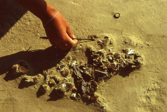 Trong một nghiên cứu tại Anh đã tìm thấy một khu định cư của người Homo heidelbergensis tại Boxgrove, Sussex, Anh.